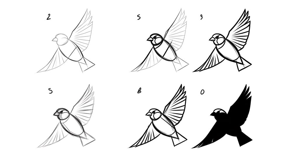 capturing the sparrow s essence