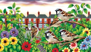 house sparrows legal status