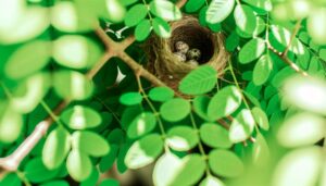 small sparrow eggs size