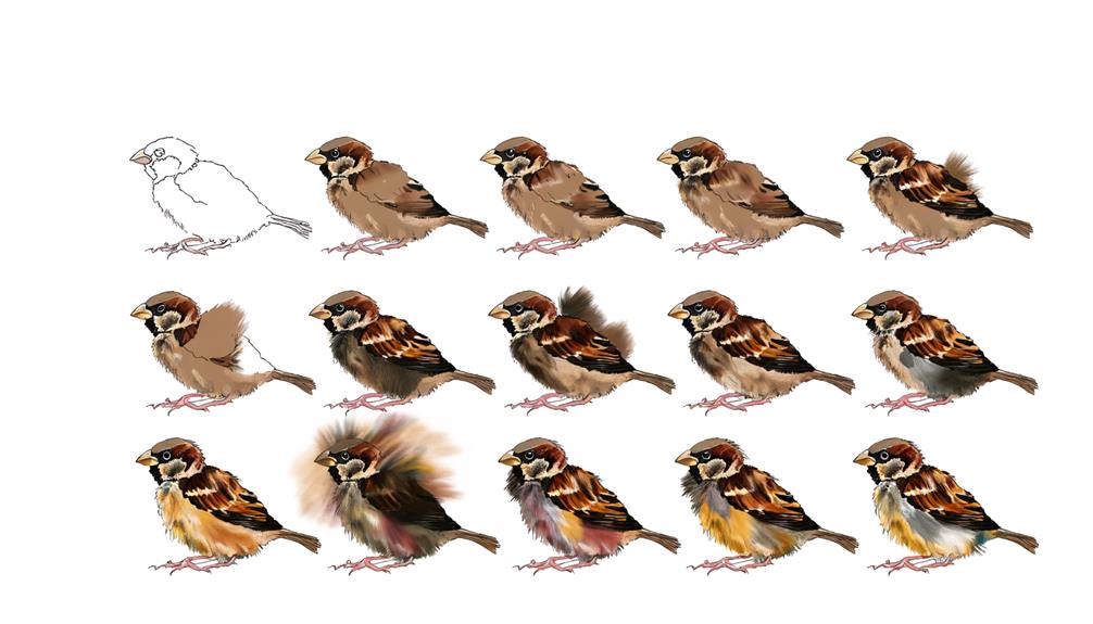 sparrow growth timeline guide