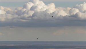 sparrow s limit in sky