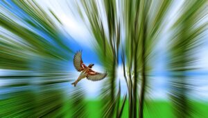 sparrow speed in flight