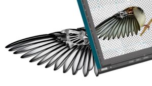 sparrow wings have bones