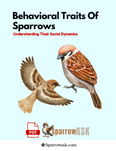 Behavioral Traits of Sparrows Understanding Their Social Dynamics