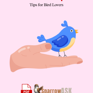 How to Care for Sparrows Tips for Bird Lovers