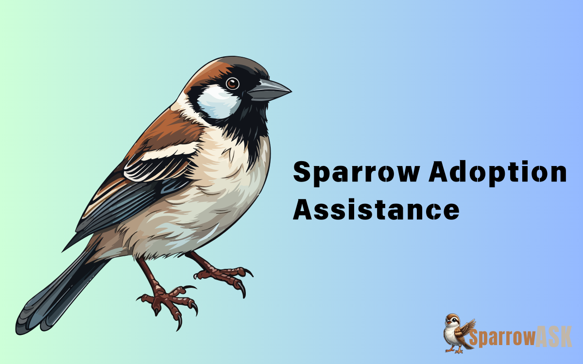 Sparrow Adoption Assistance